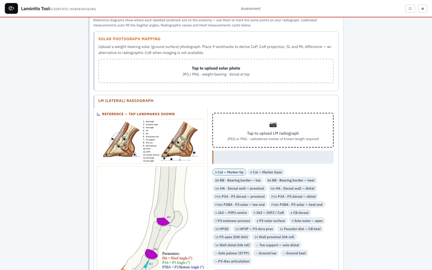 Assess tab — radiograph landmark placement and live measurements